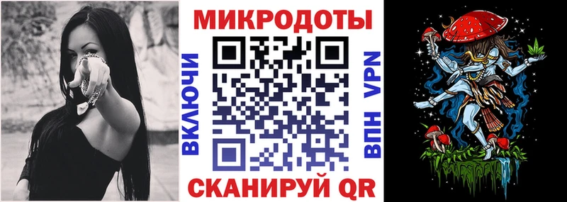 блэк спрут ONION  Жуков  Псилоцибиновые грибы Psilocybine cubensis 