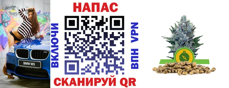 Бошки марихуана план  Жуков 